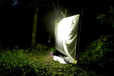 �饤�ȥȥ�å�