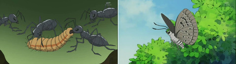 ¤Î¤ÓÂÀ¤È¥¢¥ê¤Î½÷²¦