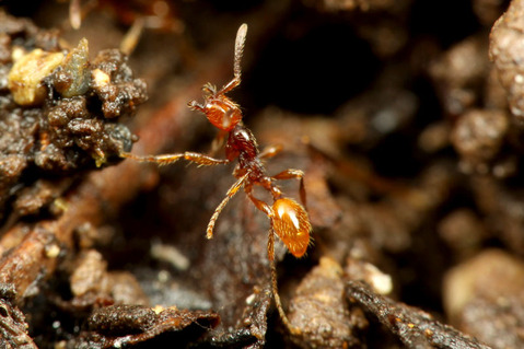 ���㥤���ҥ᥵���饤����