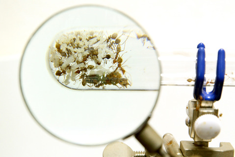 �ĥ८����λ�ɻ���