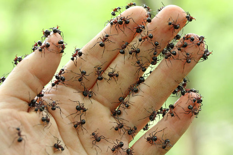 �ȥ�����