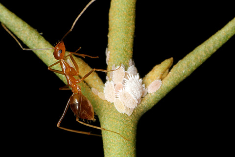 ¥¢¥·¥Ê¥¬¥¥¢¥ê¥¢¥·¥Ê¥¬¥¥¢¥ê