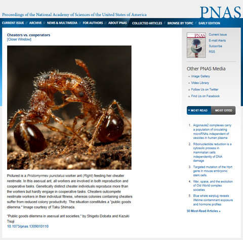 Ư���ʤ����ߥᥢ��