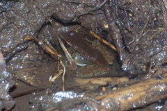 �ϥ�֥�������