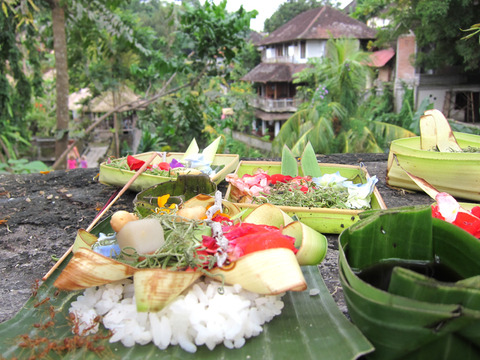 ¤ª¶¡¤¨Êª¤È¥Ä¥à¥®¥¢¥ê