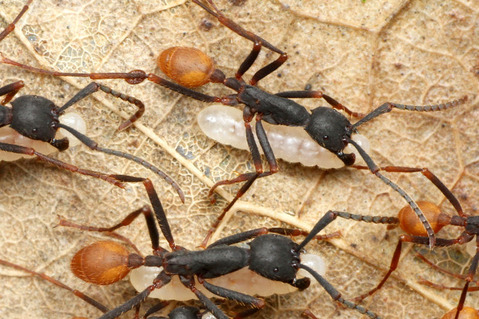 ���󥿥�����Υ���