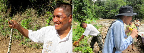 �إӤ���館�������ɤΥۥ�