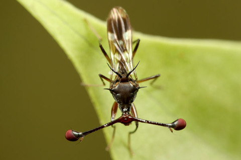 ¥·¥å¥â¥¯¥Ð¥¨