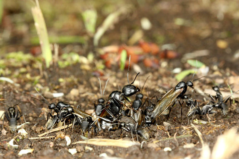 ������������η뺧����