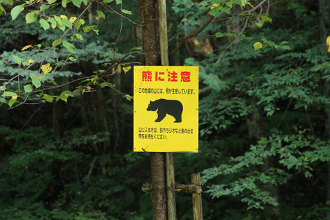 クマ注意