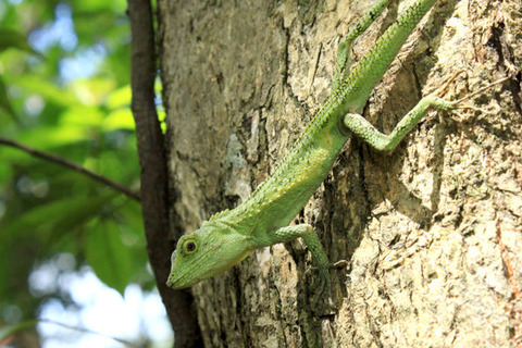 �����ʥ省�Υܥ�ȥ���