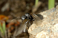 ������������η뺧����