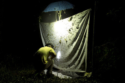 �饤�ȥȥ�å�