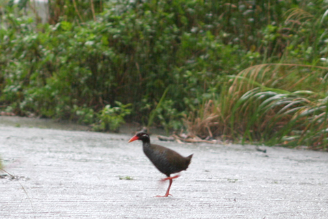 ���Х륯����