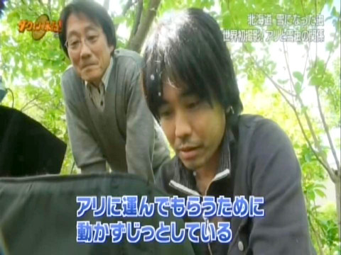 ÀãÃî¤Î°ìÀ¸