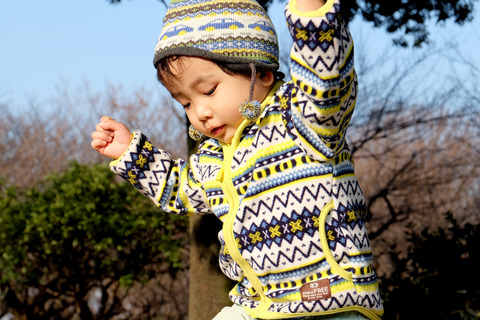FUJIFILM X-A1 (11)