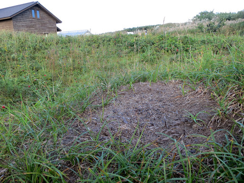 �ĥΥ�����ޥ���