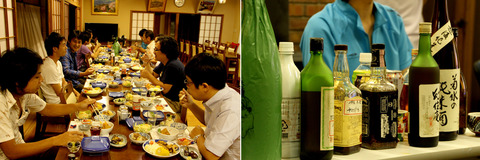 好蟻性昆虫勉強会