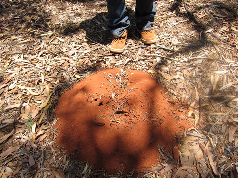 �֥�ɥå�����