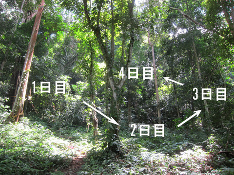 �ҥ᥵���饤����