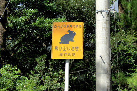 ���ޥߥΥ���������