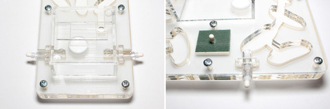 ¥¢¥¯¥ê¥ë»ô°éÍÆ´ï