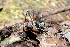 �ȥ�������������