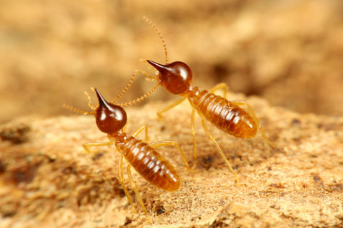 ����������������