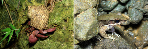 ������ɥ��ꡡ�����ϥʥ���