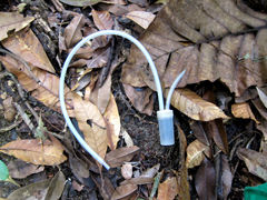 ����ʵ����