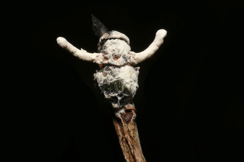 �ϥ���ɥ꥿��