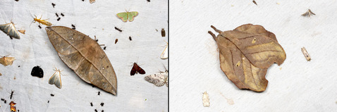 ���յ��֤Υ�