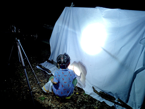 HID��Ȥäƥ饤�ȥȥ�å�