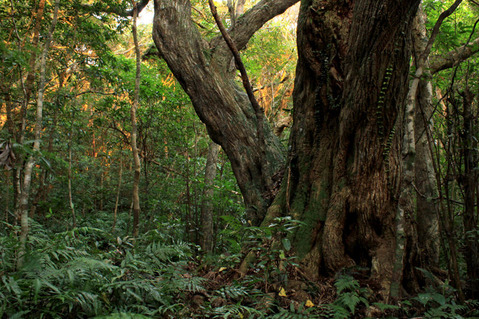 ��������λ�