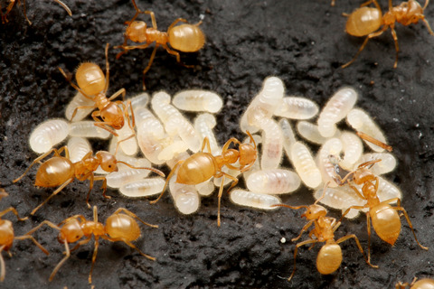 ����1ǯ7�����ܤΥ��ᥤ��������