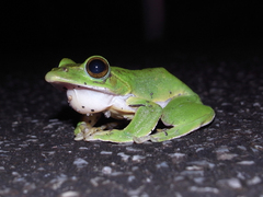 �����ʥ異��������