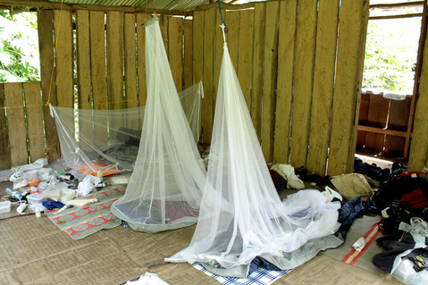 ������������