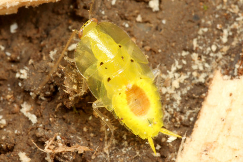 �����֥ꡡ�ڥ롼