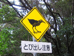 ���Х륯����