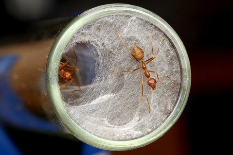 �ĥ८����λ�ɻ���