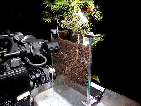 ÀãÃî¤Î°ìÀ¸