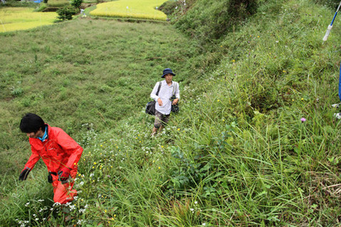 好蟻性昆虫勉強会