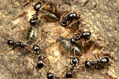 ������������ȥ��֥�ॷ