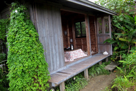 ¤ä¤ó¤Ð¤ë¤¯¤¤¤ÊÁñ