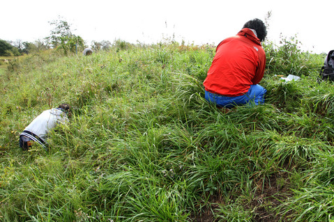 ���ޥ�����Ĵ��