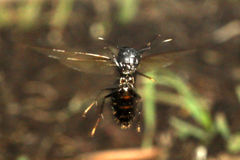 ������������η뺧����