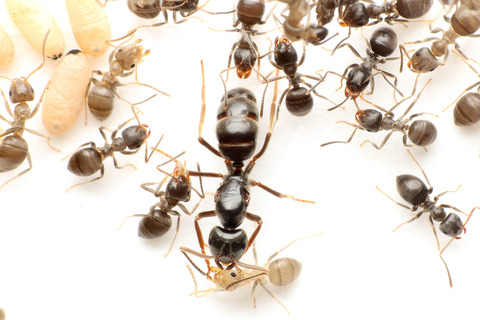 ������������