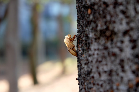 FUJIFILM X-A1 (7)