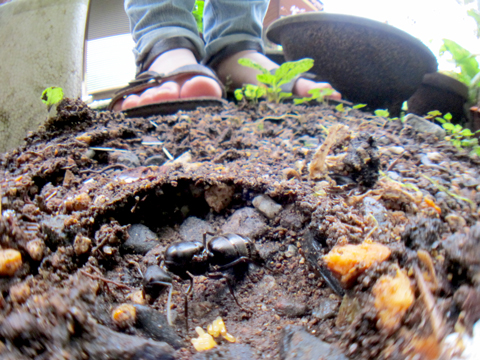 ������������