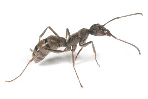 �ȥ������ϥꥢ��ν���